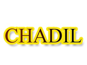 口紅香水洗面奶美容面膜3類化妝商標CHADIL
